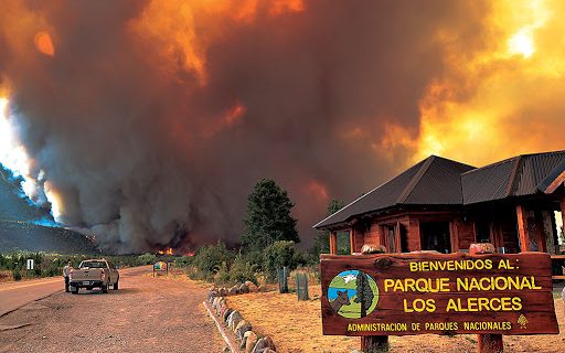 Se incendia el Parque Nacional Los Alerces