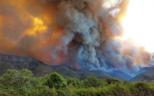 Hallaron un cuerpo calcinado en la zona del incendio en El Maitén