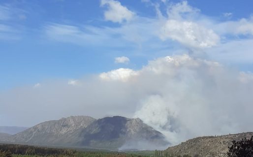 Chubut en alerta por otro incendio en la cordillera