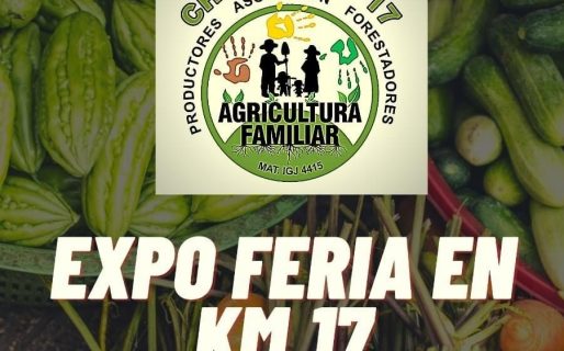 Gran Expo Feria y proyección en Km. 17