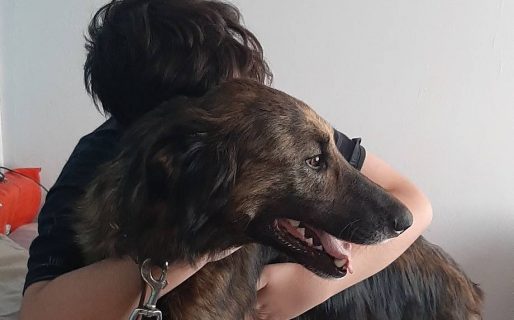 Ahora sí, final feliz: la Negra llegó a su hogar y su familia vuelve a estar completa