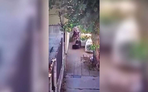 Un motochorro se subió a la vereda y atropelló a una joven