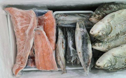 ¿Cuánto cuesta el pescado en Comodoro a días de Semana Santa?