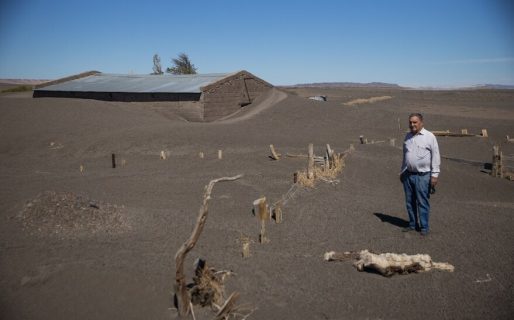 Con 75 años sobrevive en el lago que se secó para darle agua a Comodoro Rivadavia