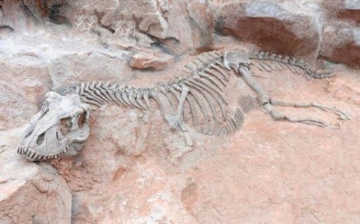 Descubrieron al titanosaurio más antiguo del mundo en la Patagonia