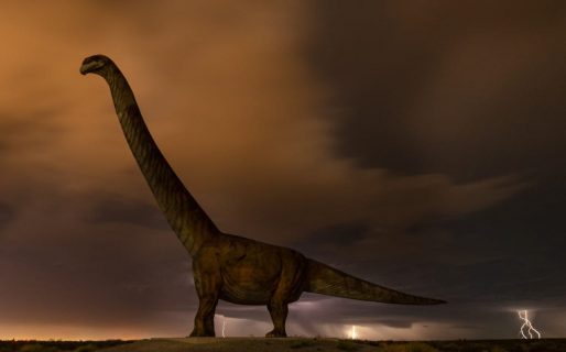 No es Jurassic Park, es Chubut: La foto que parece sacada de una película