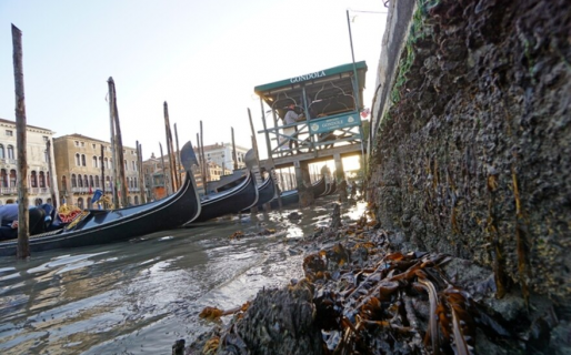 Las impactantes imágenes de Venecia sin agua