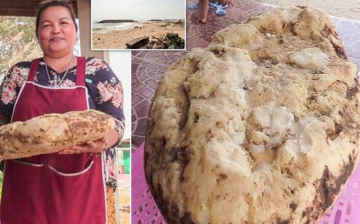 Una mujer halló 7 kilos de vómito de cachalote valuado en 260.000 dólares: ¿por qué es un tesoro?