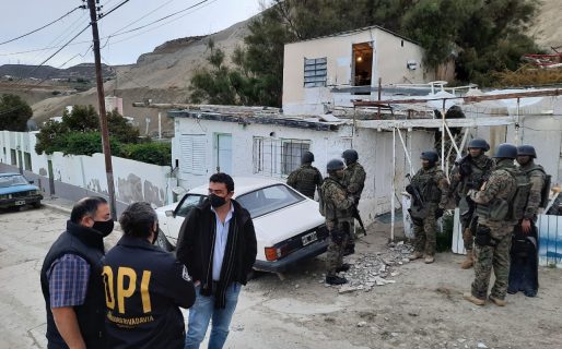 La Policía secuestró cientos de municiones y 12 plantas de marihuana