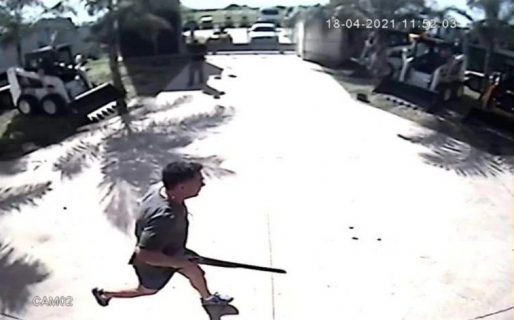 Imputan a un médico  por matar a un perro