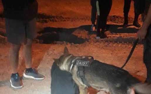 Detienen a dos hombres que viajaban en transporte público con droga