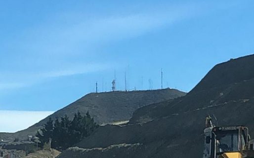 Quejas por la extracción de árboles en el centro de la ciudad
