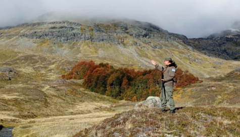 Controles en la frontera de Chubut y Chile por el tráfico ilegal de cigarrillos