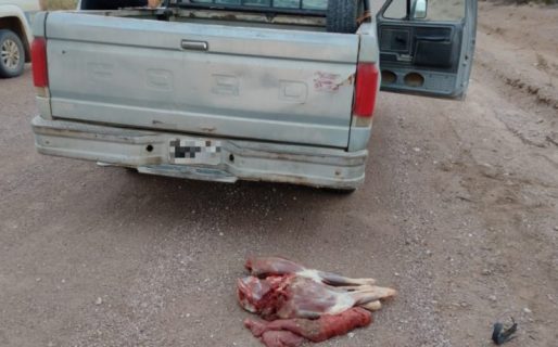 Secuestraron armas y carne de guanaco durante un operativo