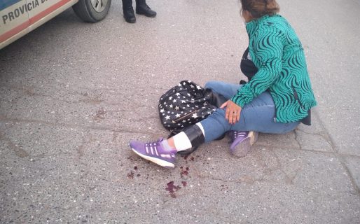 Un pitbull y un cruza labrador atacaron a una mujer hiriéndola en la pierna