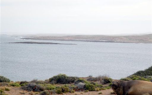 Dos kayakistas habrían naufragado en Camarones y llevan varias horas desaparecidos