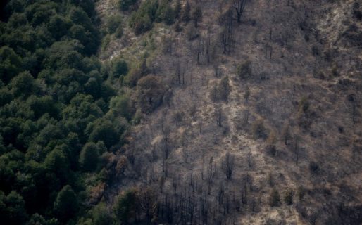El incendio en Las Golondrinas se encuentra extinguido