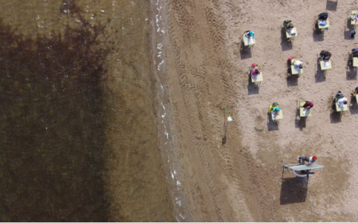 Una escuela cambió las aulas por clases en la playa: “Es seguro y lo que aprenden aquí no lo olvidan”
