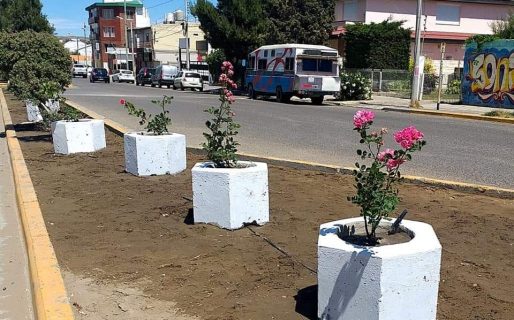 Aclaran que los “maceteros” eran parte de la obra de un muro de contención en km. 3