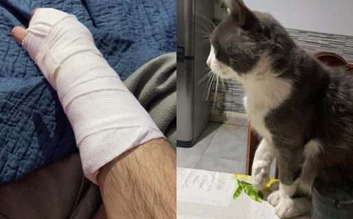 Llevó a su gato al veterinario porque estaba rengo, pero solo lo estaba imitando