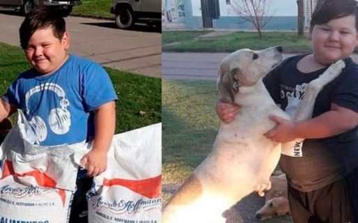 Tiene 5 años y organizó una rifa para comprarles alimento a los perros de la calle