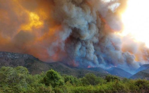 Provincia entregará madera para la construcción de viviendas en las zonas afectadas por los incendios