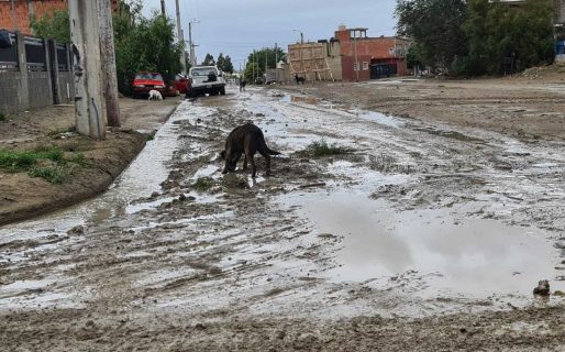 Lluvias en Comodoro: “Los vecinos tienen un miedo recurrente a inundarse”