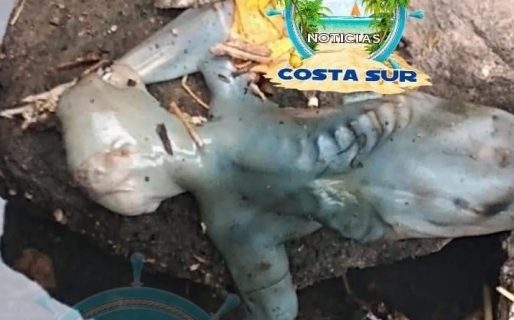 En Brasil creen haber encontrado un alien