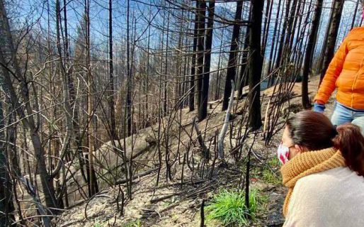 “En la Cordillera hay mucho por hacer, con compromiso y sin oportunismo”