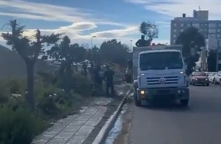 Indignación de Romero por los árboles arrancados por la Municipalidad en el centro