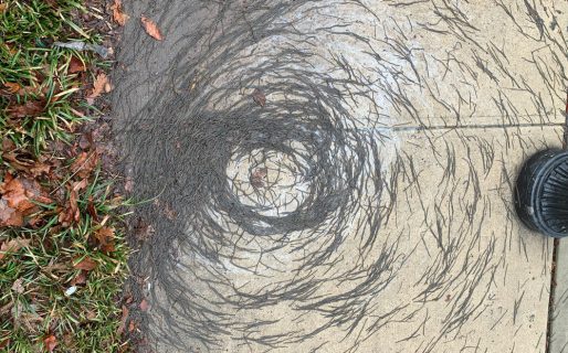 Un extraño «tornado de lombrices» deja desconcertados a los científicos