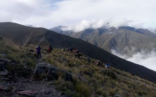 Camina 16 horas para ir a dar clases en los cerros: “Acá no existe el Zoom»