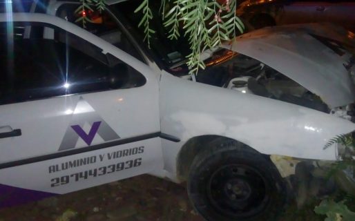 Le robaron la camioneta a una familia y se la chocaron contra un árbol