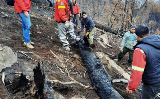 El Gobierno provincial comenzó con trabajos de remediación posincendio