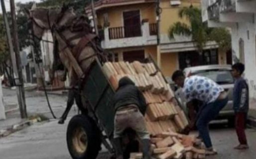 Un caballo quedó suspendido en el aire por el peso del carro