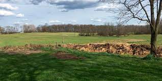 Discutió con su vecino y construyó una pared con un material un poco particular