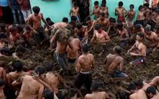 Expertos de la India advierten que rociarse con excremento de vaca no previene el coronavirus