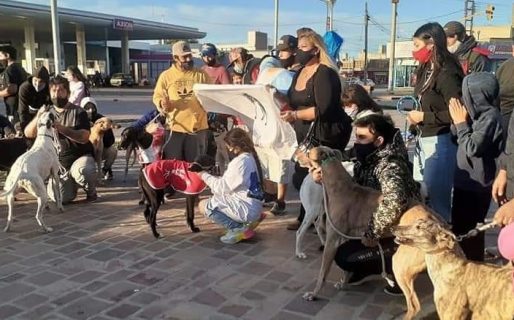 “Orgulloso de ser galguero”: decenas de personas pidieron la legalización de las carreras de galgos en Caleta Olivia