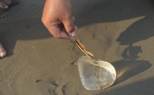 Pensaron que había un aguaviva en el mar, pero era un implante mamario