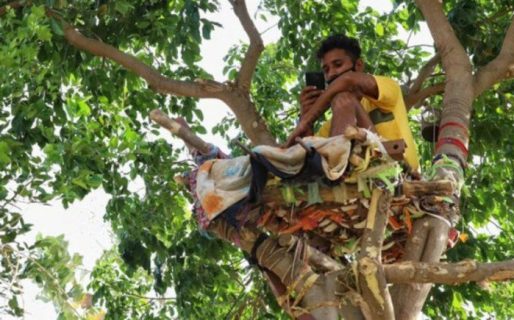 Vivió 11 días en un árbol para no contagiar a nadie
