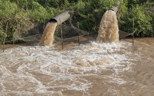 Detectaron una alta concentración de coronavirus en líquidos cloacales