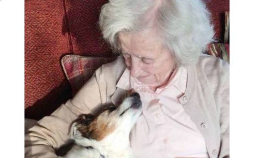 Una abuela de 96 años adoptó a un perro anciano para tener compañía
