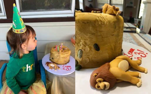 Pidió una torta de “El Rey león” y se la hicieron de la escena más triste de la película