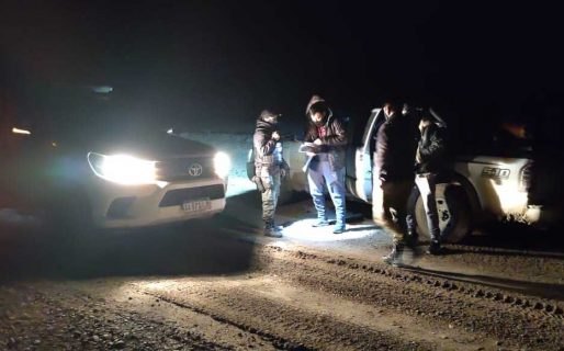Salieron a cazar guanacos con cuatro perros y un rifle ilegal y quedaron detenidos
