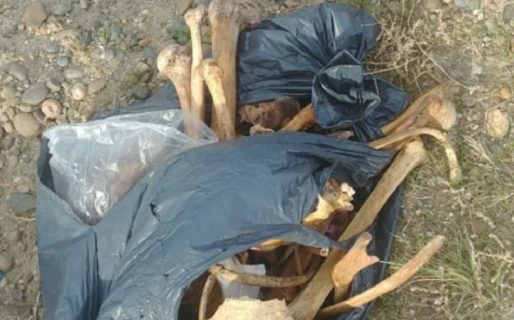 Encontraron huesos humanos dentro de una bolsa en la vía pública