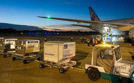 Llegaron más vacunas de Sputnik, pero aún hacen falta cerca de 6 millones de segundas dosis para completar los esquemas de vacunación