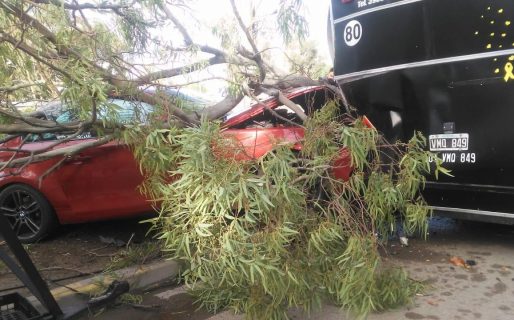 El conductor de un BMW se incrustó contra un carro de comidas del Liceo Militar