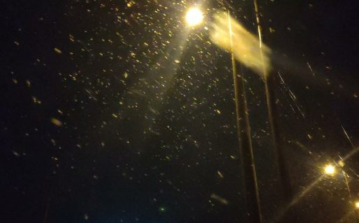 Primera nevada del año en el casco urbano de Comodoro