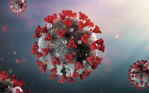 Descubren por qué el coronavirus es una enfermedad vascular y no respiratoria