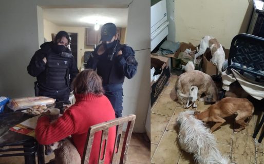 Apareció el hijo de la anciana que no comía hace dos días y contó su versión